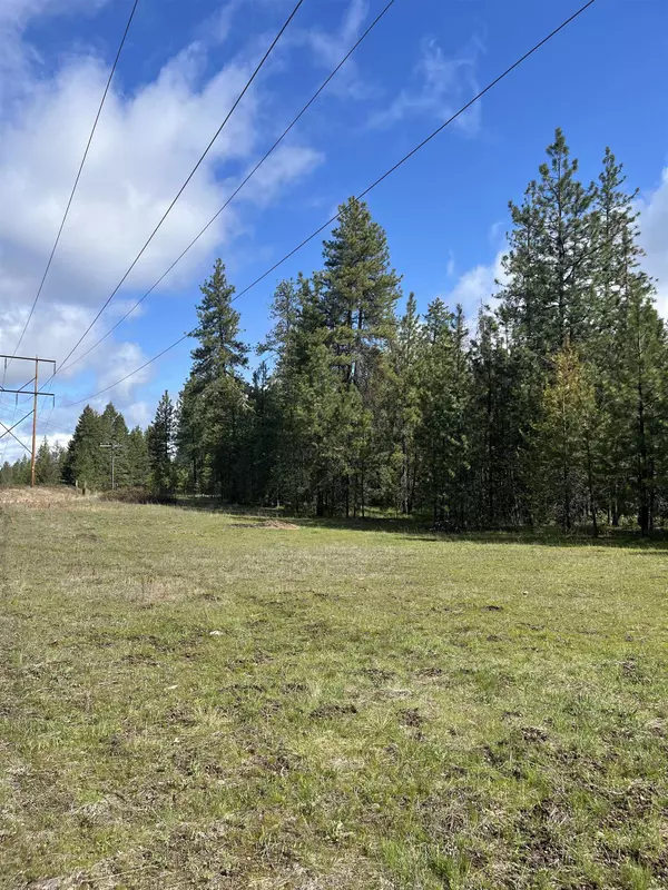 Loon Lake, WA 99148,3858 C Agar Rd