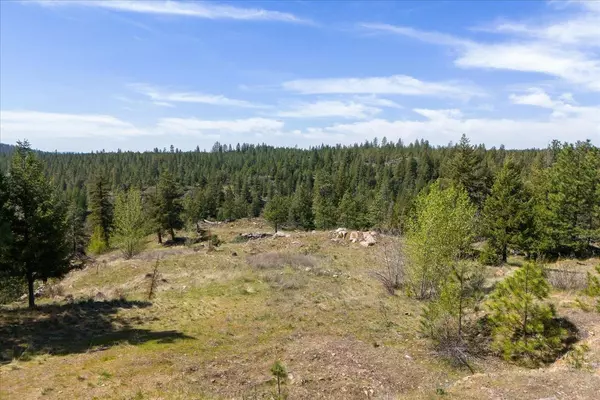 Chattaroy, WA 99003,5625 E Grouse Rd