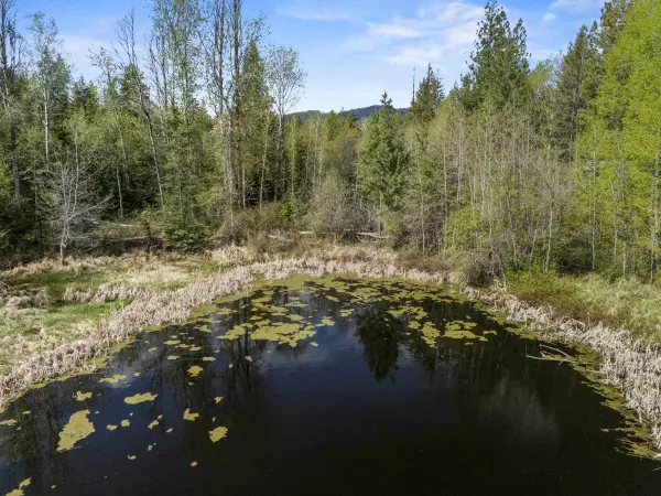 Valley, WA 99181,4395B Hesseltine Rd