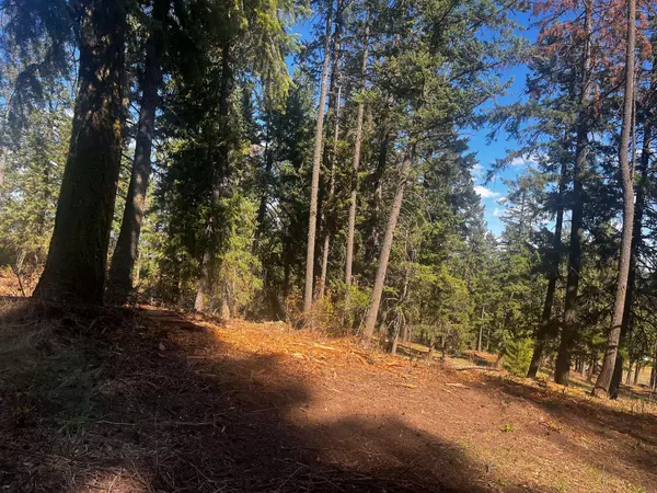 Deer Park, WA 99006,XXX Horseshoe Lake Rd