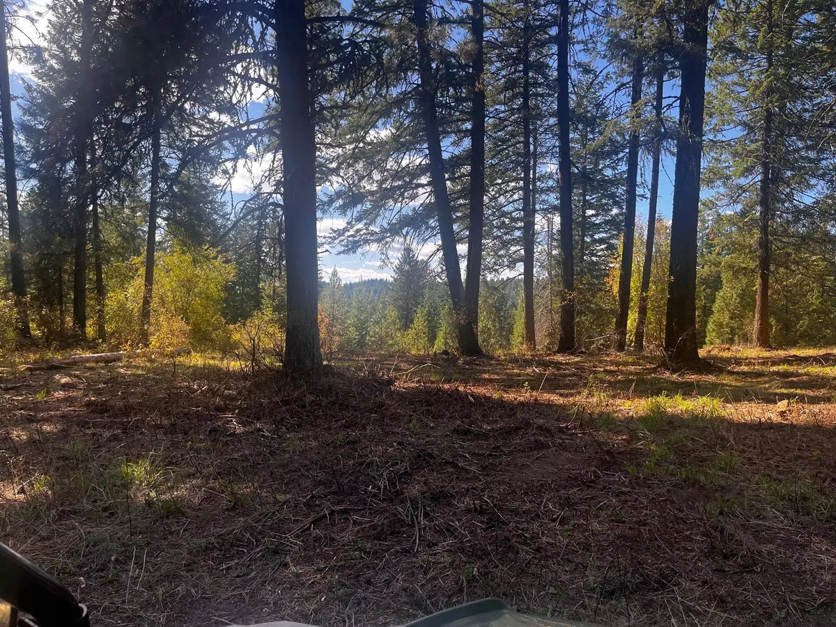 Deer Park, WA 99006,XXX Horseshoe Lake Rd