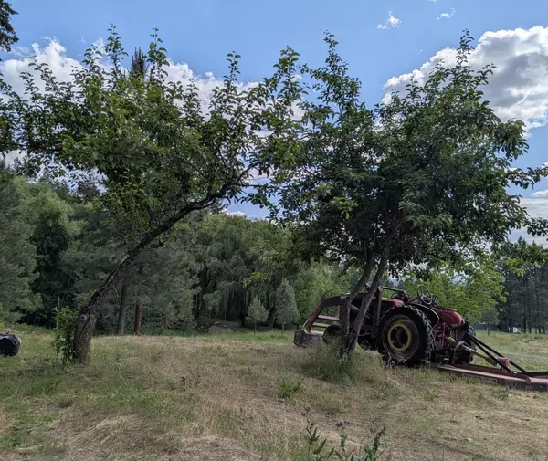 Chattaroy, WA 99003,29511 N Schwachtgen Rd