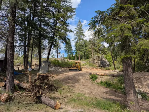 Chattaroy, WA 99003,29511 N Schwachtgen Rd