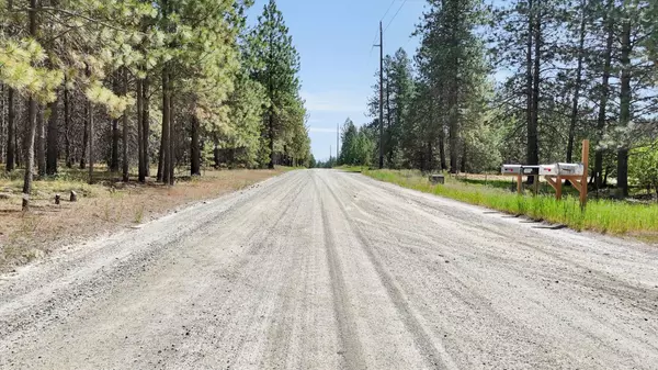 Deer Park, WA 99006,xxx W Burroughs Rd