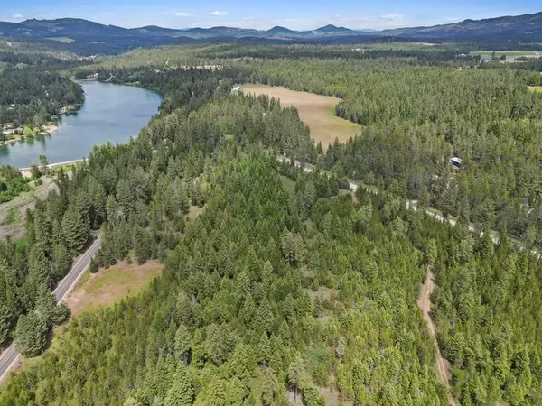 Chattaroy, WA 99003,0 N Milan-Elk Rd #49194.9085