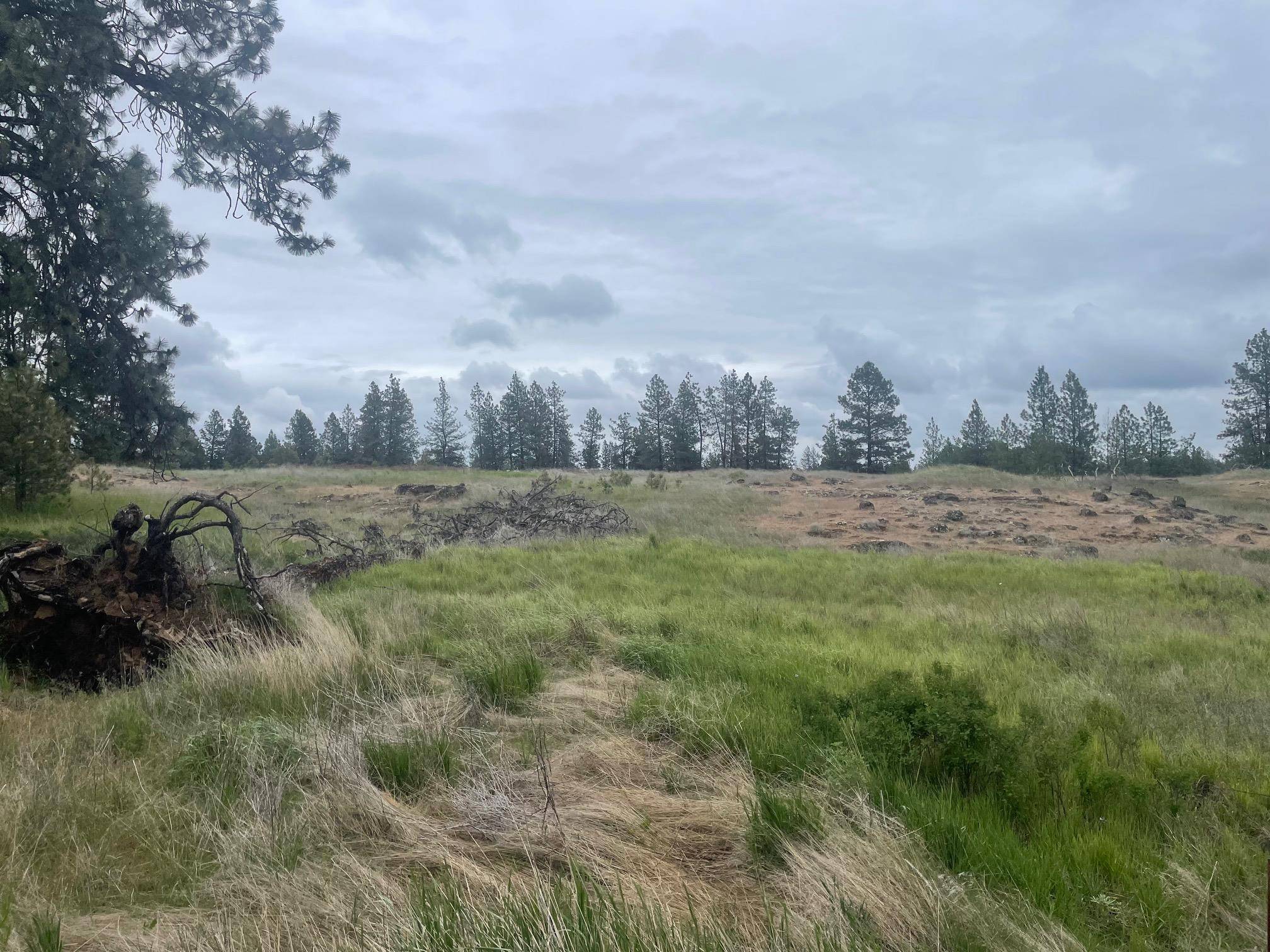 Cheney, WA 99004,XXX S Cheney Plaza Rd