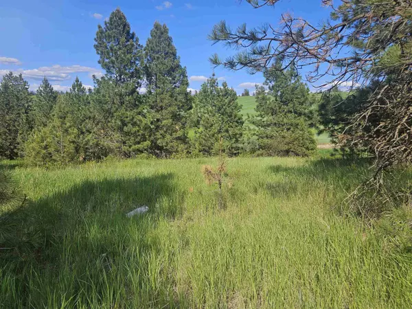 Cheney, WA 99004,XXXX W Orchard Heights# 2 14242.0185 & 14242.0186 Rd