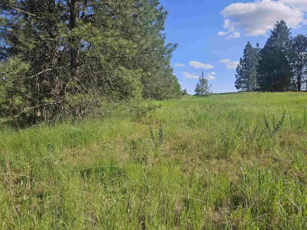 Cheney, WA 99004,XXXX W Orchard Heights# 2 14242.0185 & 14242.0186 Rd