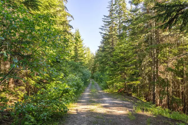 Mead, WA 99021,xxxx N Mt Spokane Park Dr