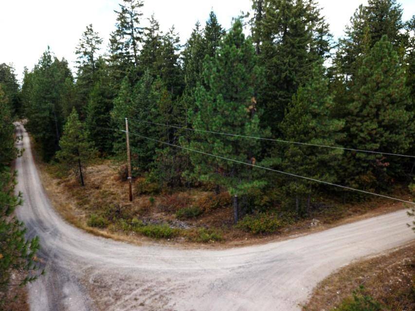 Chattaroy, WA 99003,11618 E Dusty Ln