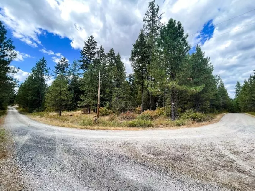 Chattaroy, WA 99003,11618 E Dusty Ln