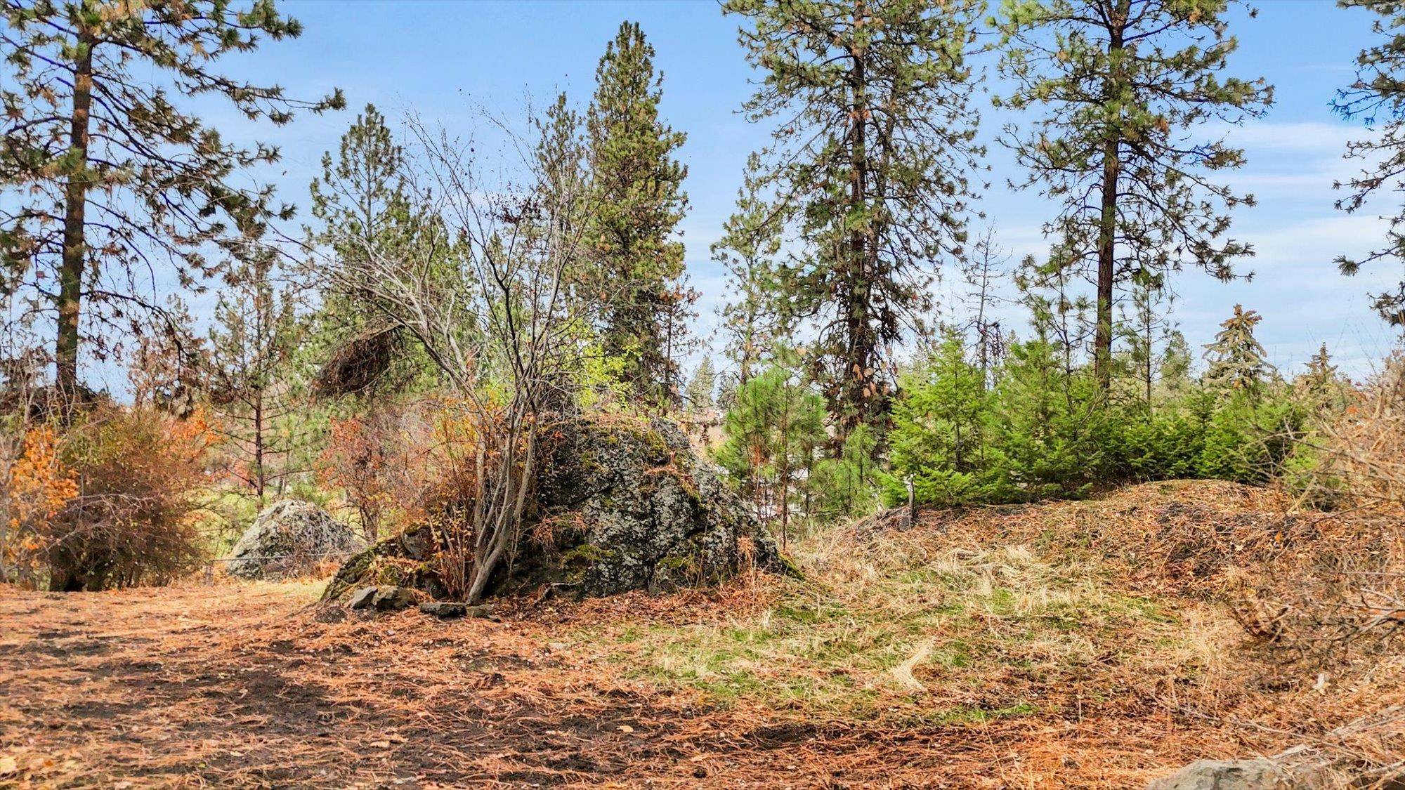 Spokane, WA 99202,1101 S Upper Vista Dr