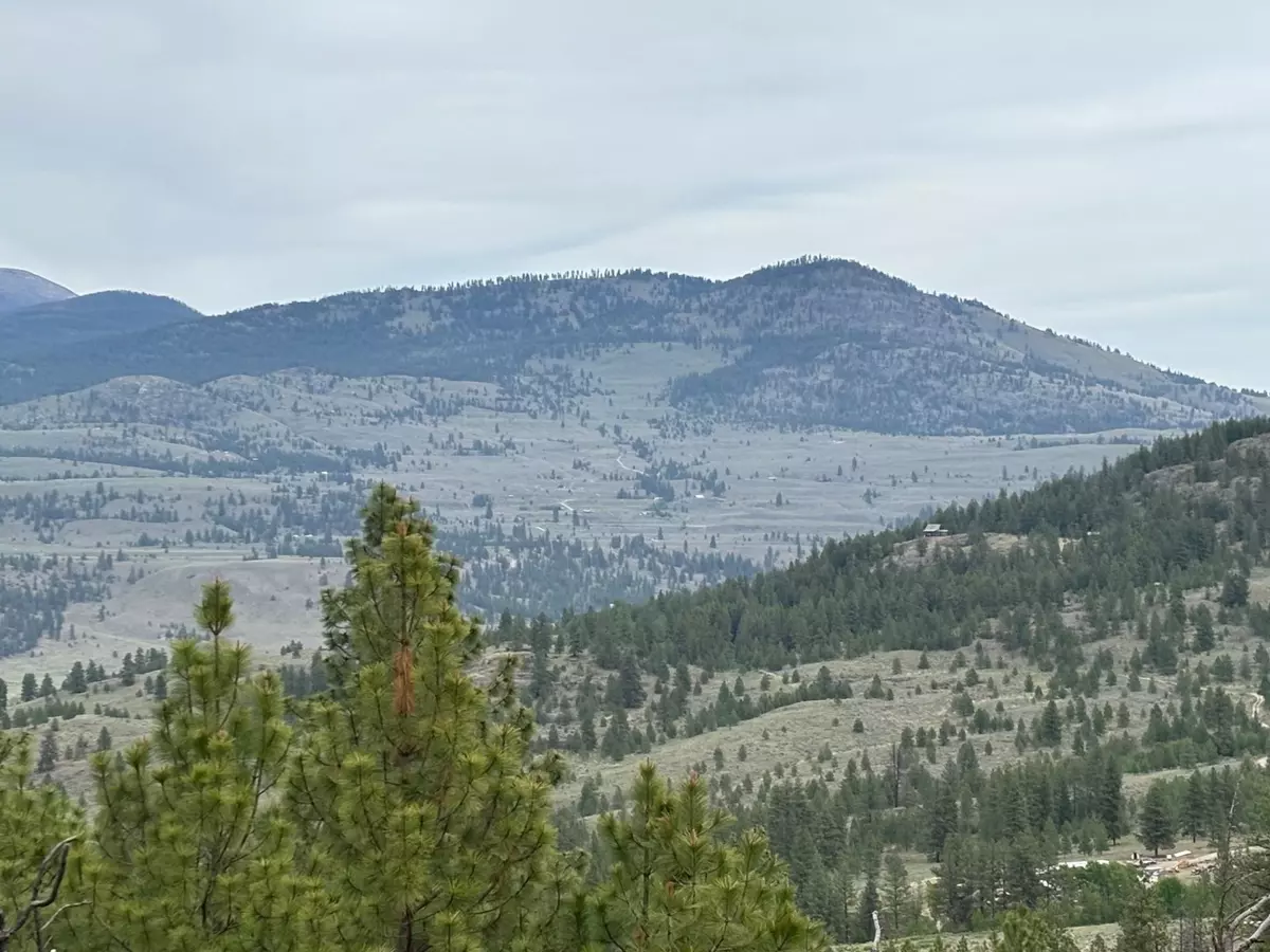 Other, WA 98855,8XX Upper Reevas Basin Rd #Lot 3628012011