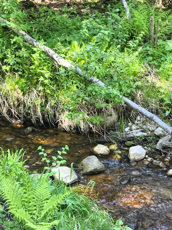 Cusick, WA 99119,7450 Ruby Creek Rd