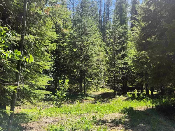 Cusick, WA 99119,7450 Ruby Creek Rd