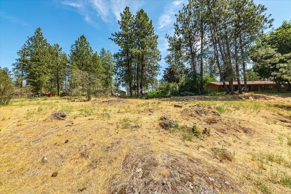 Medical Lake, WA 99022,XXX S Clear Lake Rd