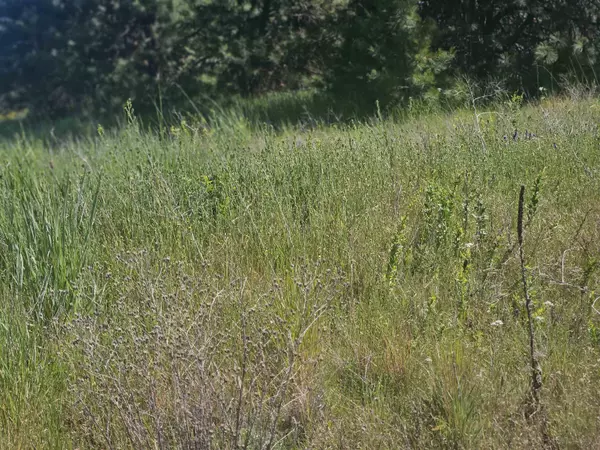 Cheney, WA 99004,xxxx W Orchard Heights 14242.0172&14242.0175 Rd