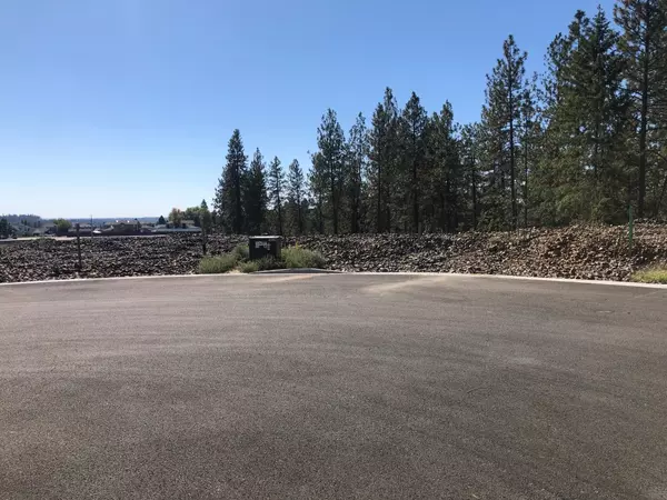 Colbert, WA 99005,16999 N Morton Ln