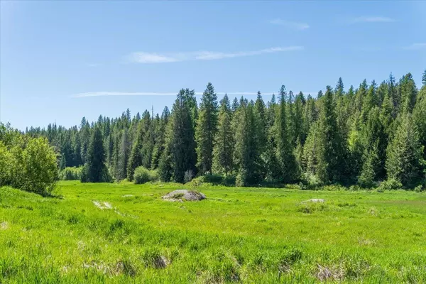 Newport, WA 99156,XXXX Hwy 211 #Lot 1