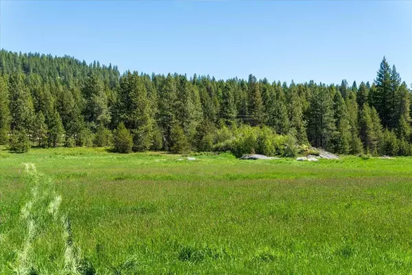 Newport, WA 99156,XXXX Hwy 211 #Lot 1
