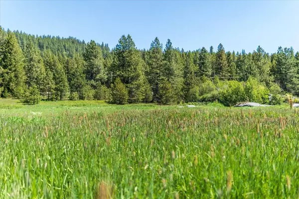 XXXX Hwy 211 #Lot 2, Newport, WA 99156