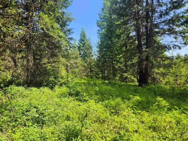 Springdale, WA 99173,4711 X Springdale Hunters Rd