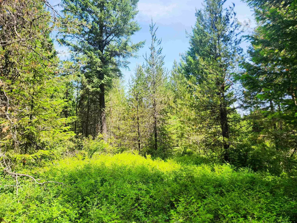 Springdale, WA 99173,4711 X Springdale Hunters Rd