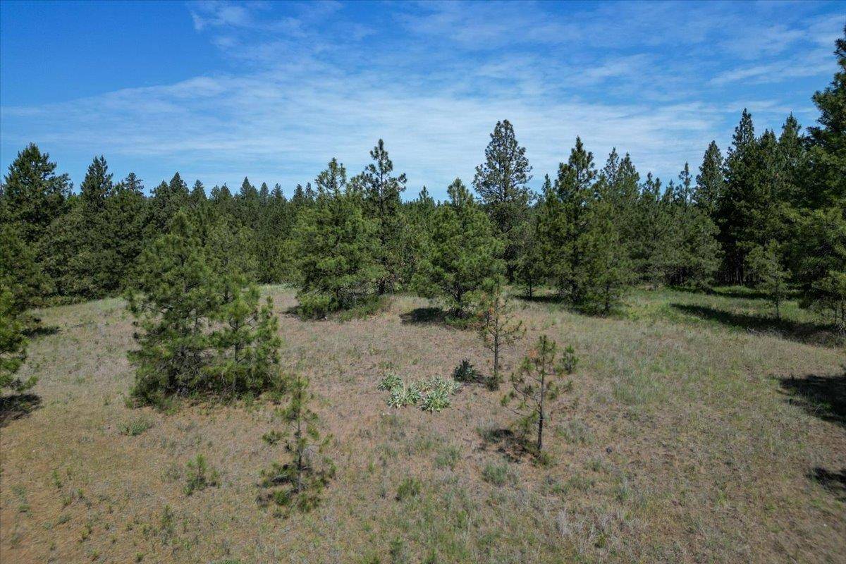Spokane, WA 99224,1305 E Wildflower Ln