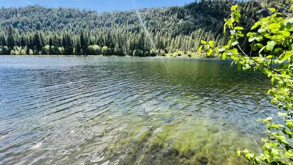 Colville, WA 99114,NKA Phalon Lake Rd