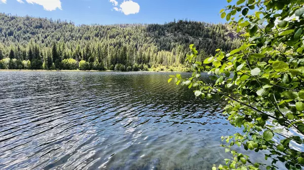 Colville, WA 99114,NKA Phalon Lake Rd