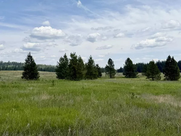 Clayton, WA 99110,46XX Furzee Rd