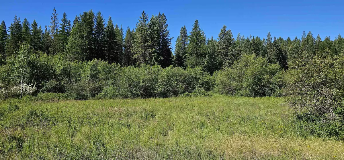 Springdale, WA 99173,5XXX Olinger Rd