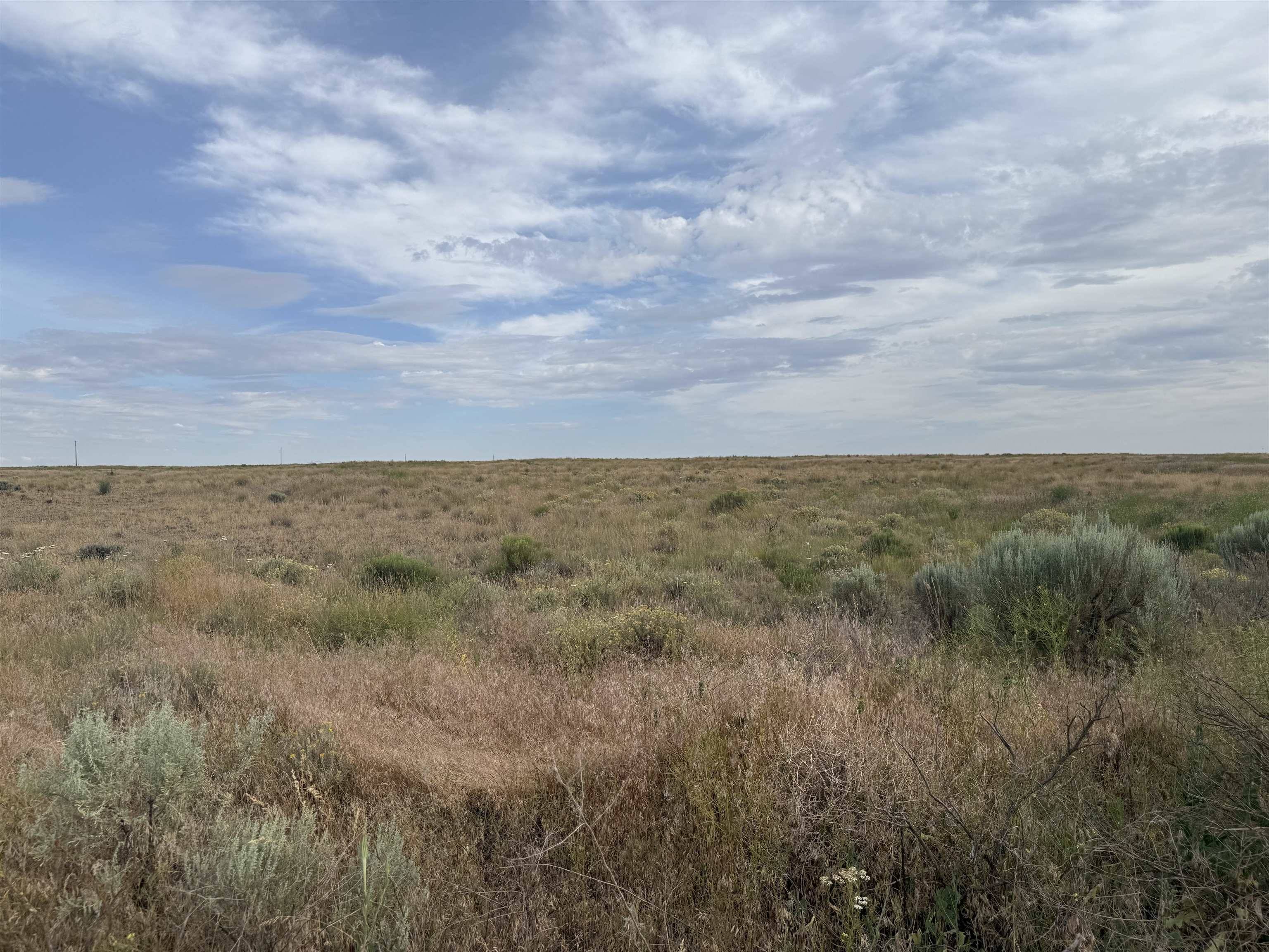 000 Black Rock & Lessor Rd, Odessa, WA 99159