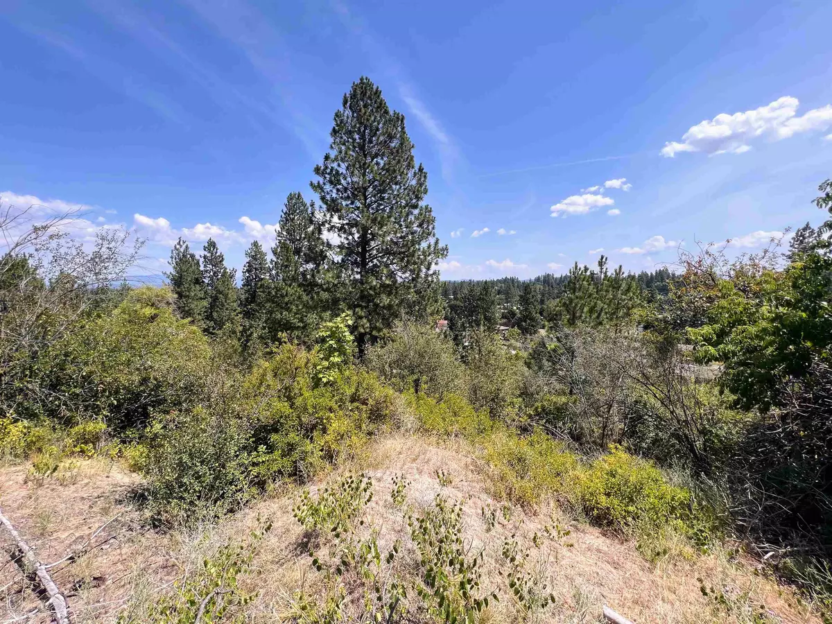 Spokane, WA 99208,8XXX N Jefferson Dr #Lot 19