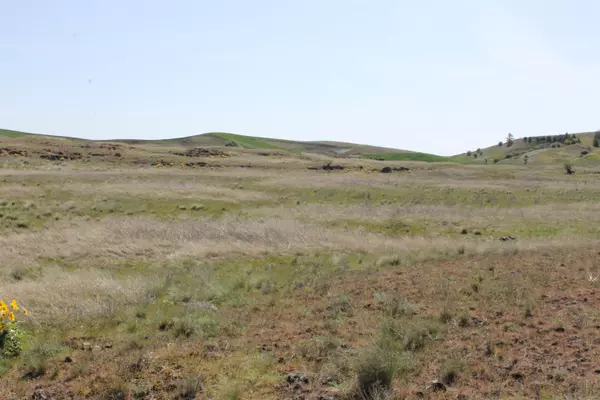 XXXX S Rock Lake Rd #Tract 4, Cheney, WA 99004