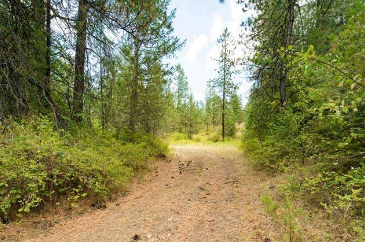 NKA Castle Rock Lot 5 & 6 Creek Rd, Fruitland, WA 99129