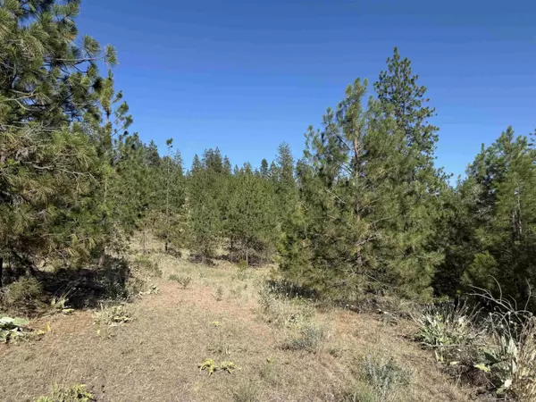 Davenport, WA 99122,000 TBD Rd