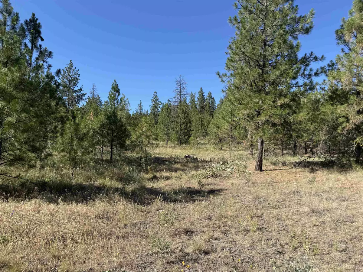 Davenport, WA 99122,000 TBD Rd