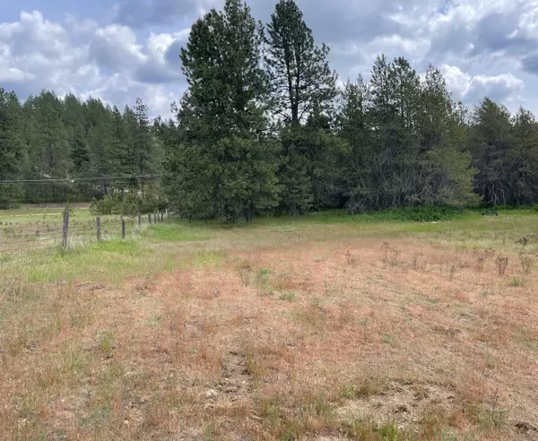 Springdale, WA 99173,4150 NORRIS Rd