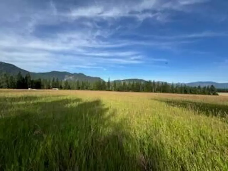 3283 Hyytiainen Rd, Colville, WA 99114-0000