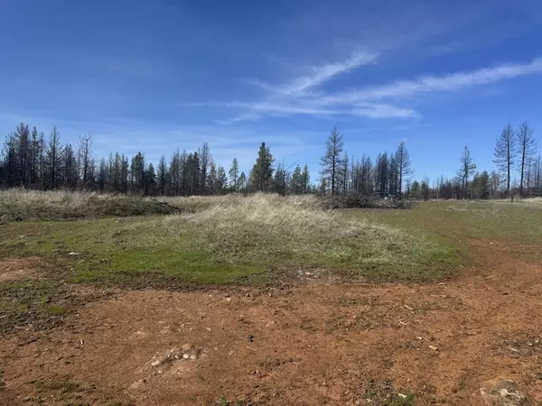 Medical Lake, WA 99022,XXX W Page Pond Ln