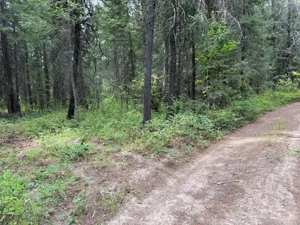 Springdale, WA 99173,Lot 2 Springdale Hunters Rd