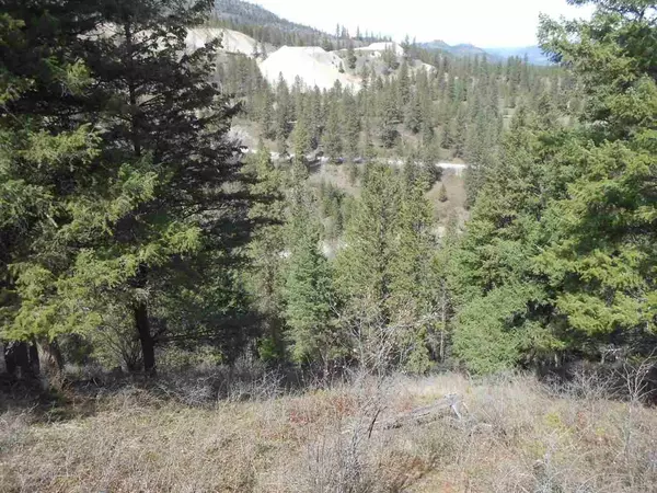 Kettle Falls, WA 99141,93 Murphy Rd