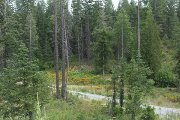 Newport, WA 99156,10xx Buck Creek Rd