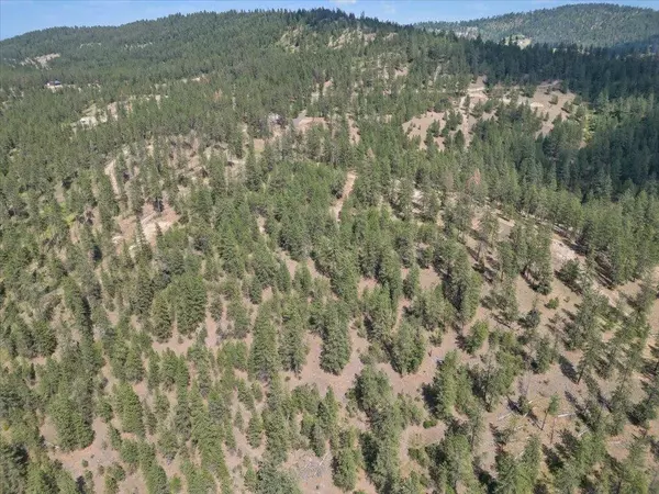 Deer Park, WA 99006,NKA Weaver WAY #Lot D of Lot 6