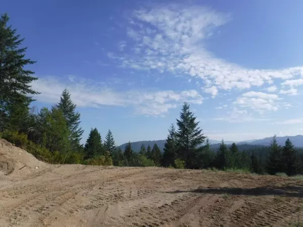 Loon Lake, WA 99148,Lot 1 SW Moose Ridge WAY