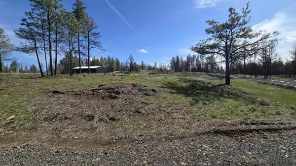 Medical Lake, WA 99022,125ZZ S Clear Lake Rd