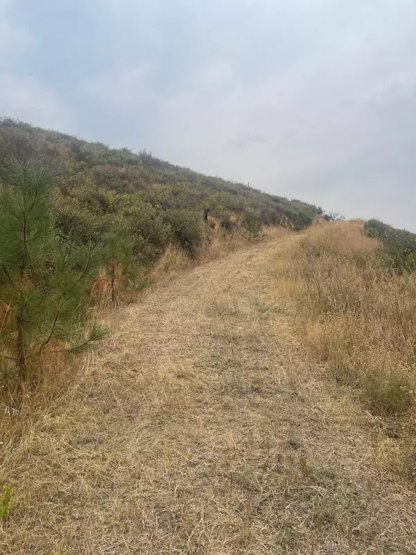 Nine Mile Falls, WA 99026,18400 N Valley Rd #Approx