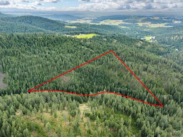 19960 N Mt Spokane Park Dr #Parcel # 47134.9099, Mead, WA 99021