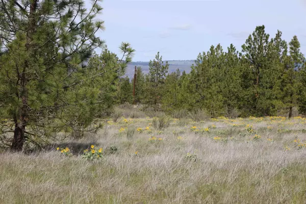 Reardan, WA 99029,TBD Spring Creek Rd